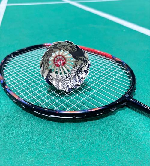 的对抗样本 的对抗样本